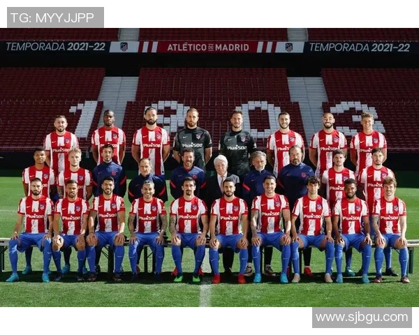 巴西对阵法国究竟谁更具优势分析与预测